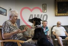 Eine alte Frau Seniorin spielt mit einem Hund in einem Pflegeheim